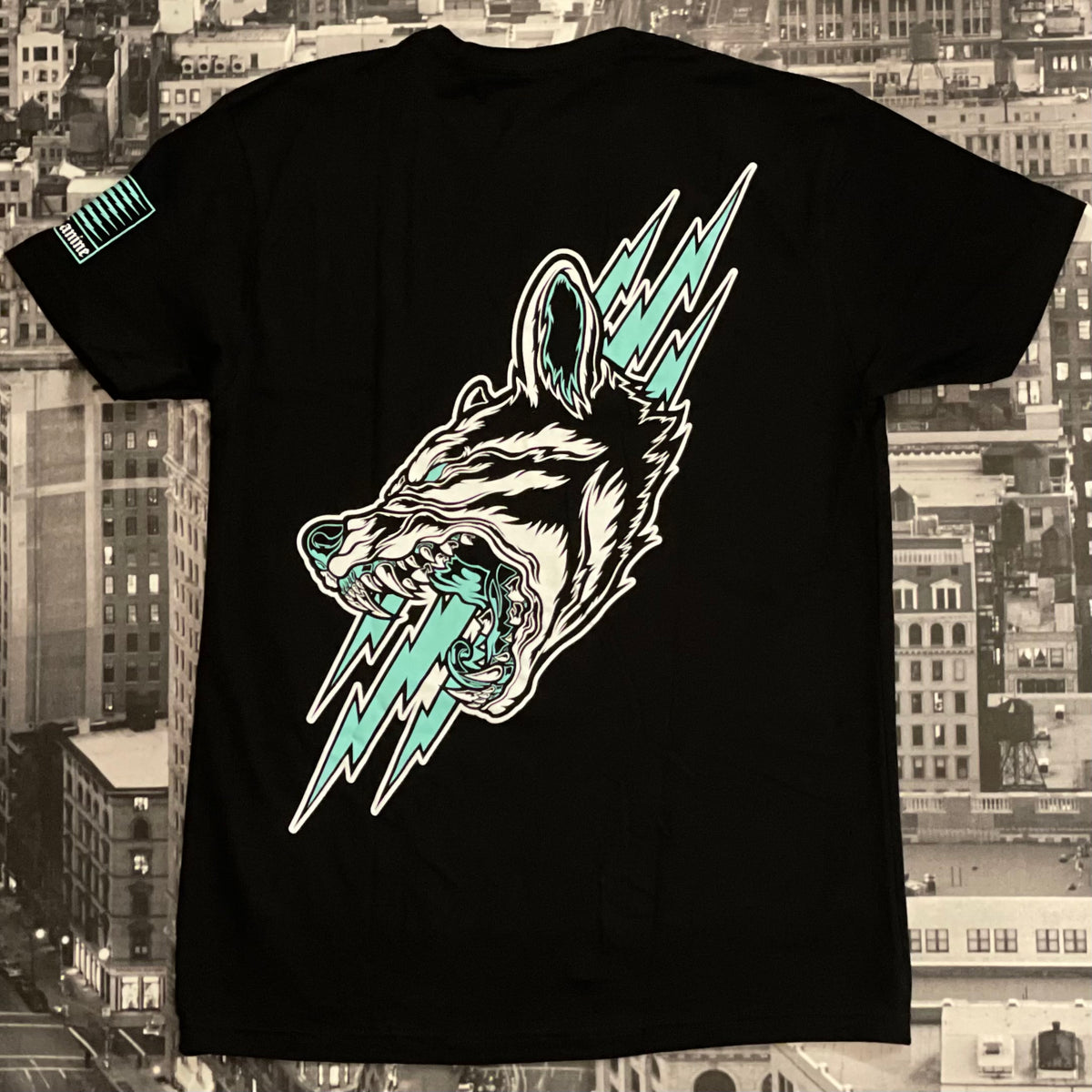 Defcon Quickstrike (Teal Colorway) – Defcon Propaganda