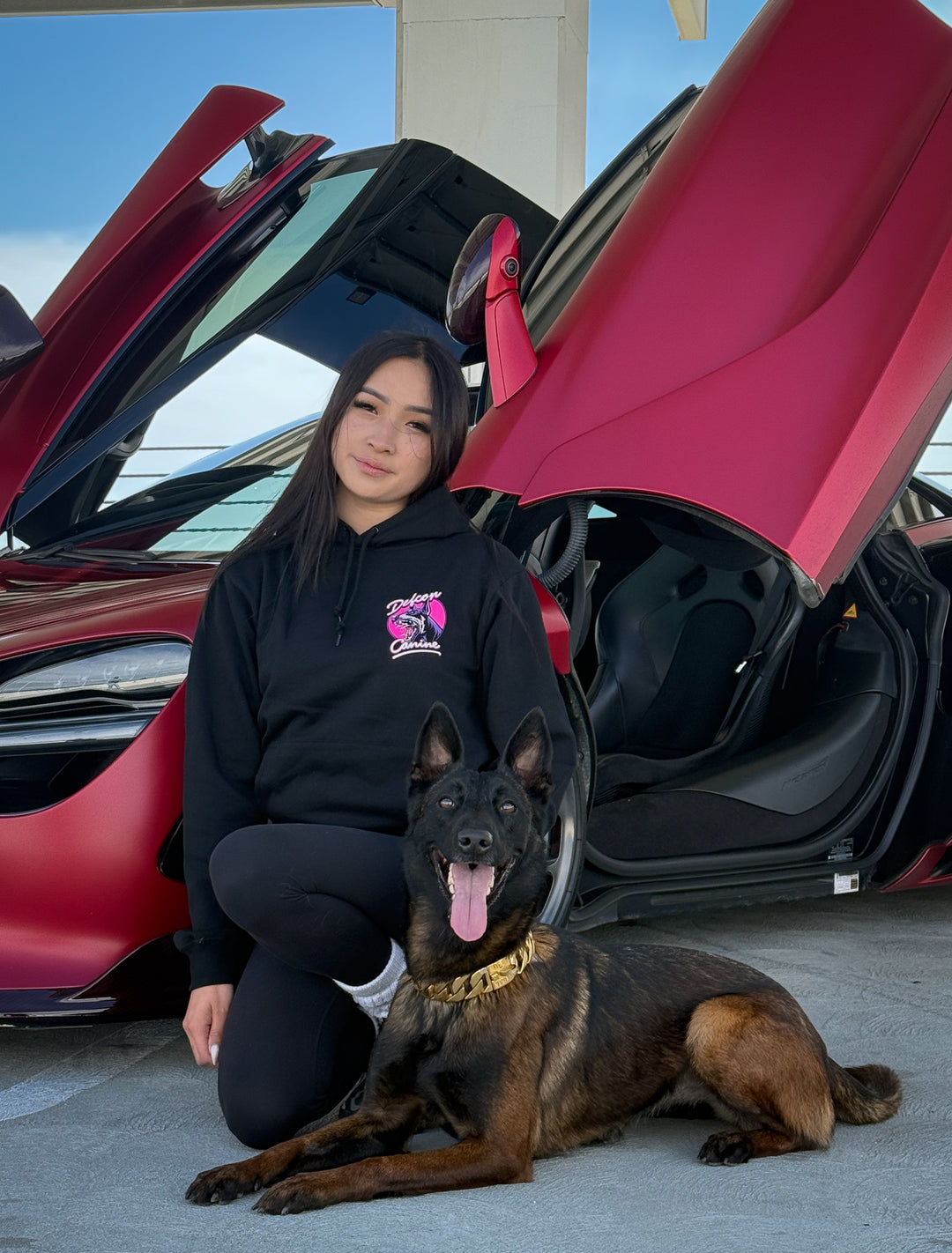 Grand Theft Bite Doberman Hooded Sweatshirt – Defcon Propaganda