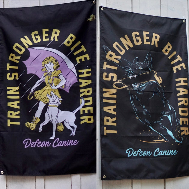 Flags – Defcon Propaganda