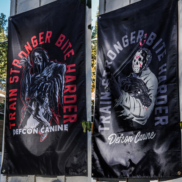 Flags – Defcon Propaganda